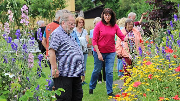 Eine beeindruckende, blühende Sammlung heilender Kräuter schmückt inzwischen den wiederhergestellten Klostergarten, dem die Hammelburger Gartenfreunde einen Besuch abstatteten.