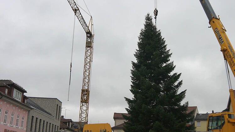 Auf dem Neustadter Marktplatz ist am Donnerstag der Weihnachtsbaum aufgestellt worden. Foto: Berthold Köhler