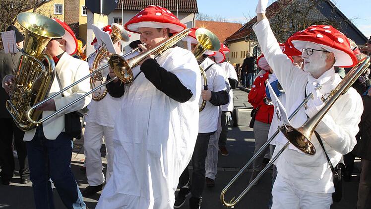 Impressionen vom Faschingsumzug in Neukenroth. Foto: Michael Wunder