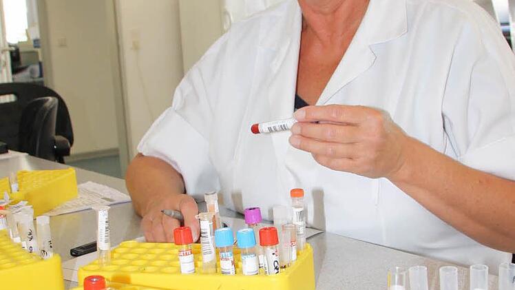 Bereits jetzt gibt es in der Region viel Kompetenz im Gesundheitswesen und mehr als 800 Arbeitsplätze für Labor- und Medizintechnik. Eine Außenstelle des LGL würde einen zusätzlichen Schub bedeuten. Auf dem Bild markiert Laboklin-Mitarbeiterin Rita Leicher Proben. Foto: Ralf Ruppert