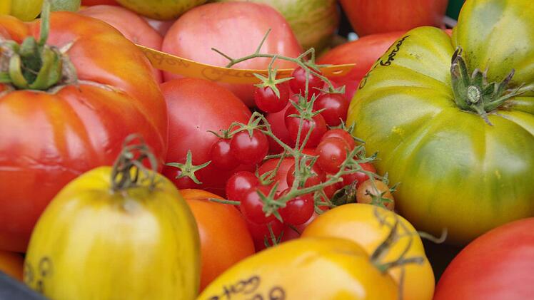 Schon in der Vergangenheit gab es mehr Sorten als nur die große, runde, knallrote Tomate, die das Bild in den Supermärkten bestimmt. Inzwischen erfahren alte, bewährte Sorten eine Renaissance.