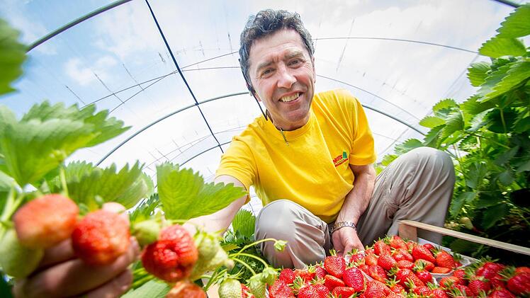 Herman Bayer von "Bayer's Franken-Erdbeeren" hat einen Antrag für Wasserentnahme aus der Haßlach gestellt. Von Stadtrat Hans-Georg Simon erntet er dafür harsche Kritik. Foto: Archiv/Marian Hamacher