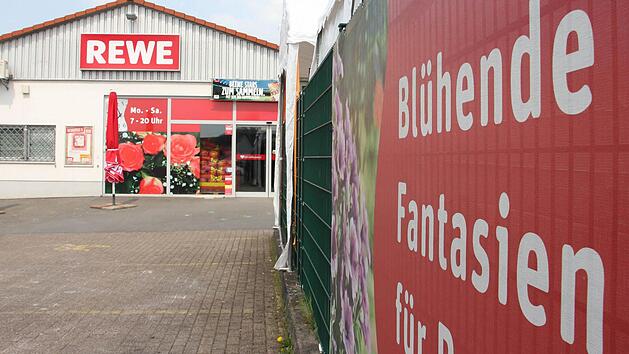 Ein Produkt bl&uuml;hender Fantasien waren die im Steinberger Rewe-Markt gefundenen Krabbeltiere zwar nicht, doch die hochgiftige "Brasilianische Wanderspinne" - auch "Bananenspinne" genannt - entpuppte sich letztlich als harmlose "Riesenkrabbenspinne". Foto: Marian Hamacher