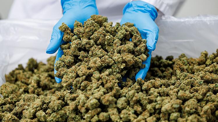 Medizinal-Cannabis-Produktionsst&auml;tte