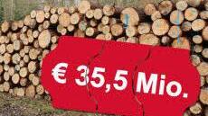 Gleich doppelt bewertet wurde der Stadtwald: Der reine Bodenwert wurde mit 30 Cent je Quadratmeter veranschlagt und fließt in die 12,5 Millionen Euro ein, die für Grund und Boden angesetzt sind. Der Aufwuchs, sprich das Holz, wurde einzeln nach Beständen erfasst und auf insgesamt 35,5 Millionen Euro geschätzt.