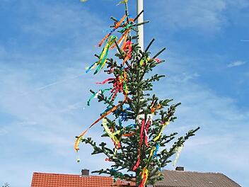 Mit vereinten Kräften richteten die Kinder den Baum auf.  Foto: sw