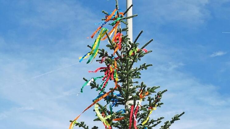 Mit vereinten Kräften richteten die Kinder den Baum auf.  Foto: sw