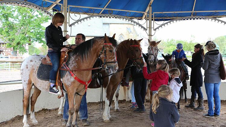Auch eine Ponyreitbahn war geboten. Foto: Barbara Herbst