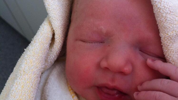 Fotos: Josef Hofbauer/privat