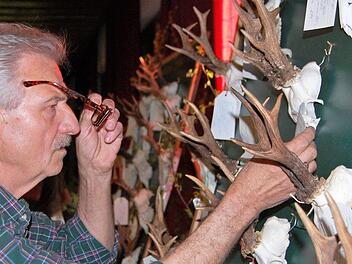 Ein Besucher betrachtet die Trophäen der öffentlichen Hegeschau. Sigismund von Dobschütz