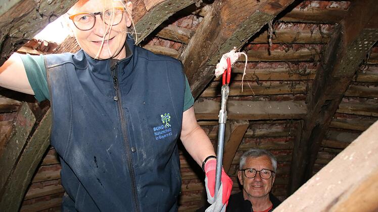 Elisabeth Assmann und Rudolf Hanke vom Bund Naturschutz fütterten am Donnerstag vom Innern des Mönchsturms aus und mit einer Zange die Störche. Foto: Ralf Ruppert