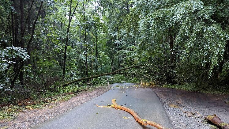 Bad Berneck: Gro&szlig;einsatz bei schwerem Unwetter - Feuerwehr zieht eine Woche danach Bilanz