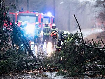 Ein umgestürzter Baum traf am Samstagvormittag bei Nürnberg einen Menschen und verletzte ihn schwer. Symbolbild: Matthias Balk/dpa