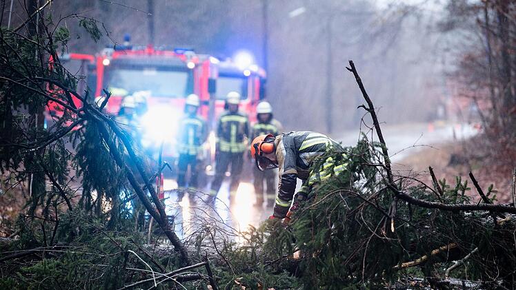 Ein umgestürzter Baum traf am Samstagvormittag bei Nürnberg einen Menschen und verletzte ihn schwer. Symbolbild: Matthias Balk/dpa