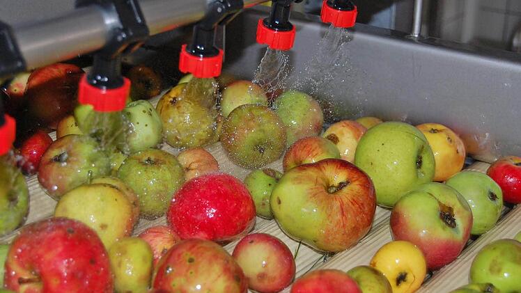 Auf dem Wasserweg zum Ausleseband werden die Äpfel ordentlich gewaschen.