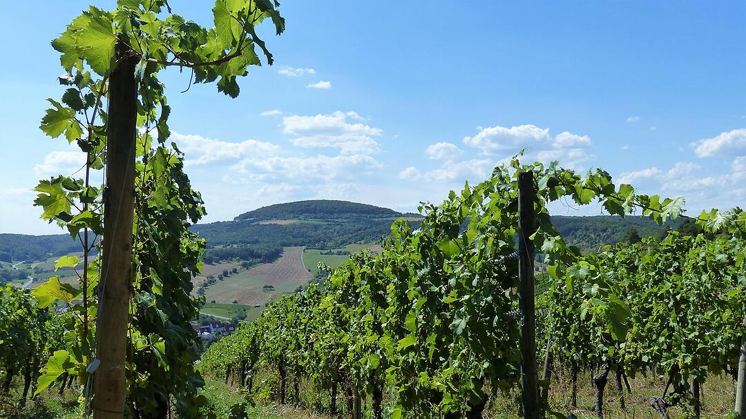 Die schönsten Fotos im August aus Bad Kissingen und Umgebung