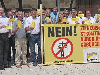 Gelbe Karten, die im Fußballsport eher rote Karten wären: Alle Bürgermeister des Coburger Landes hoffen im Kampf gegen eine weitere Stromleitunge auf die Unterstützung der Bevölkerung. Deshalb werden sie jedem Haushalt einen Flyer zukommen lassen. Foto: Berthold Köhler