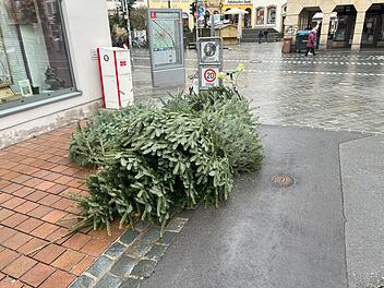 Bamberg: Entsorgung von ausgedienten Christbäumen - Stadt beklagt rücksichtsloses Verhalten Bamberg: Entsorgung von ausgedienten Christbäumen - Stadt beklagt rücksichtsloses Verhalten