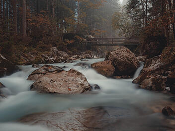 Deutschlands beliebteste W&auml;lder - Platz 1: Zauberwald