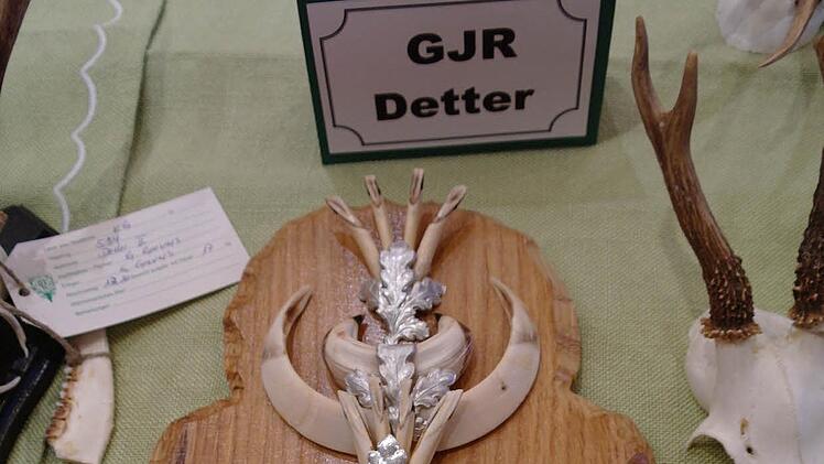 Diese Eckzähne des männlichen Wildschweins konnten die Jäger bei der Hegeschau bewundern. Foto: Stephanie Elm