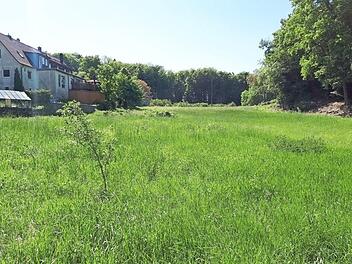 Blick auf das Baugebiet "Kirschgarten"  Foto: Petra Malbrich