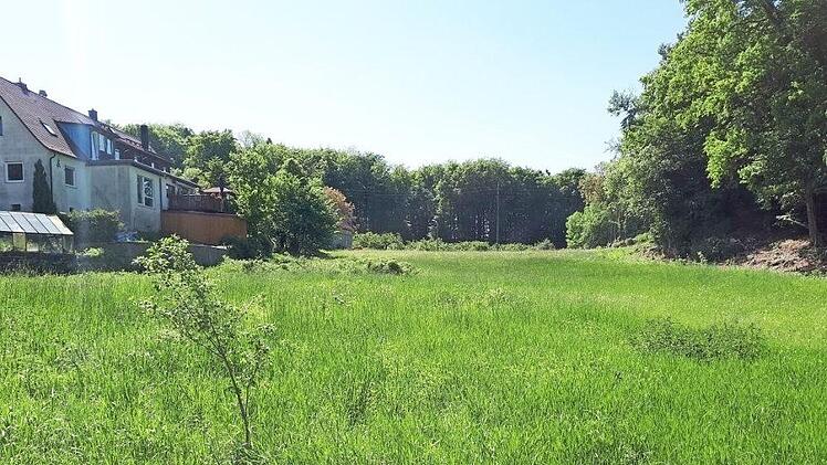 Blick auf das Baugebiet "Kirschgarten"  Foto: Petra Malbrich