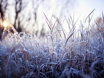 In Franken wird es frostig, teils kommt die Sonne raus. Frost, Kälte, Winter, Schnee, Wetter