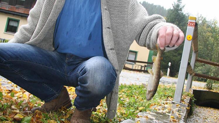 Heiko Müller hat die Polizei verständigt, als er die Massen von toten Fischen bemerkte.