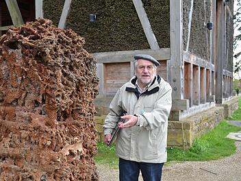 Der Gradierbau an der Unteren Saline diente einst zur Salzgewinnung. Jedoch wurde hier in unmittelbarere Nähe auch gebadet und flaniert, weiß Gästeführer Josef Kiesel zu berichten. Hier steht er an einer Versteinerung, die aus dem Gradierbau stammt. Foto: Kathrin Kupka-Hahn