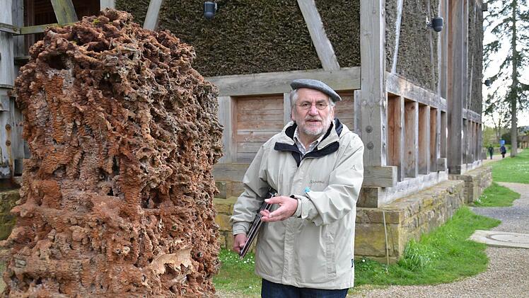 Der Gradierbau an der Unteren Saline diente einst zur Salzgewinnung. Jedoch wurde hier in unmittelbarere Nähe auch gebadet und flaniert, weiß Gästeführer Josef Kiesel zu berichten. Hier steht er an einer Versteinerung, die aus dem Gradierbau stammt. Foto: Kathrin Kupka-Hahn