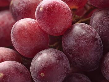 Weintrauben, Trauben, Obst, Frucht