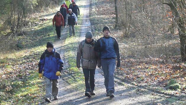 Die Wallfahrer aus M&uuml;nnerstadt gingen von W&uuml;rzburg durch den Gramschatzer Wald bis Arnstsein, ihrem ersten Tagesziel. Foto: Michael K&uuml;bert