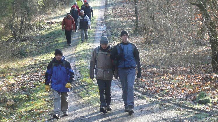 Die Wallfahrer aus Münnerstadt gingen von Würzburg durch den Gramschatzer Wald bis Arnstsein, ihrem ersten Tagesziel. Foto: Michael Kübert