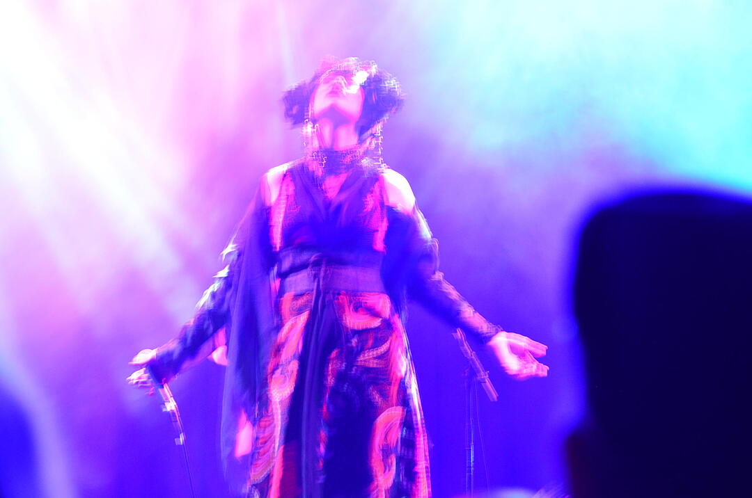 Wave-Gotik-Treffen 2017: Amanda Palmer und Edward Ka Spel