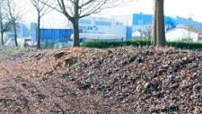 Entlang des Geh- und Radwegs nach Untermembach ist eine Hecke abgeholzt worden. Foto: sae