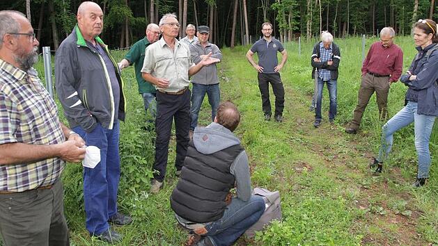 Forstamtsrat Matthias Jessen erklärt den Teilnehmern der Fortbildung die Wiederaufforstung in einem Waldstück bei Willersdorf; vorne links im Bild ist WBV-Vorsitzender Bernhard Roppelt.
