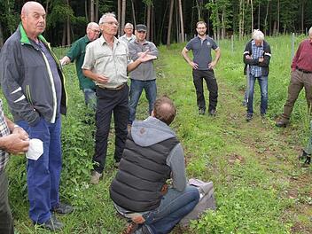Forstamtsrat Matthias Jessen erkl&auml;rt den Teilnehmern der Fortbildung die Wiederaufforstung in einem Waldst&uuml;ck bei Willersdorf; vorne links im Bild ist WBV-Vorsitzender Bernhard Roppelt.