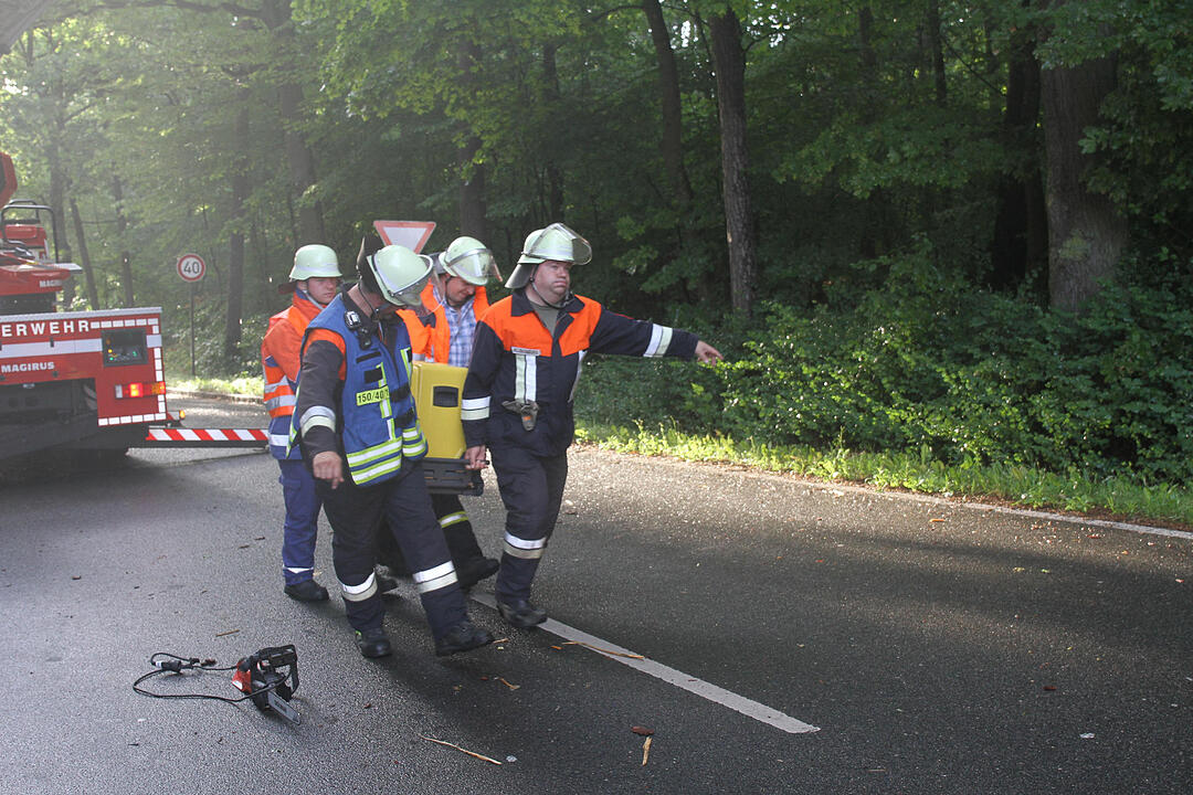 Gewitter über Mittelfranken haben Bäume umstürzen lassen. Im Landkreis Roth war eine Bahnstrecke zeitweise lahmgelegt.