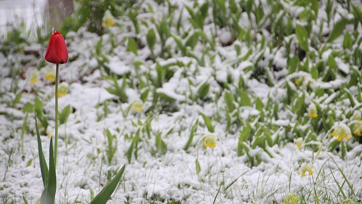 Schnee an Ostern in Bad Kissingen Foto: Heike Beudert