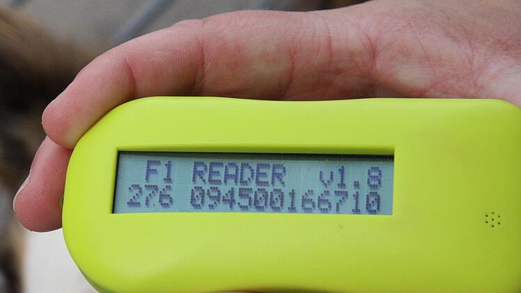 Das Lesegerät zeigt den Code an, mit dessen Hilfe der Eigentümer des Hundes in der Datenbank gefunden werden kann - wenn Chip und Hund registriert sind. Foto: SImone Bastian