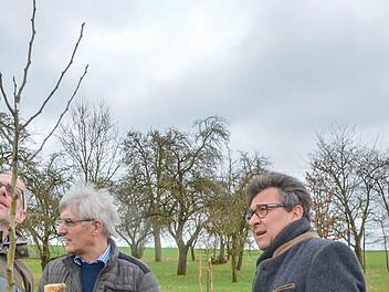 Kaiser Alexander oder Fürst Blücher? Frank Reißenweber, Hans Rebelein und Rolf Rosenbauer begutachten neu gepflanzte Bäume uralter Sorten.Rainer Lutz