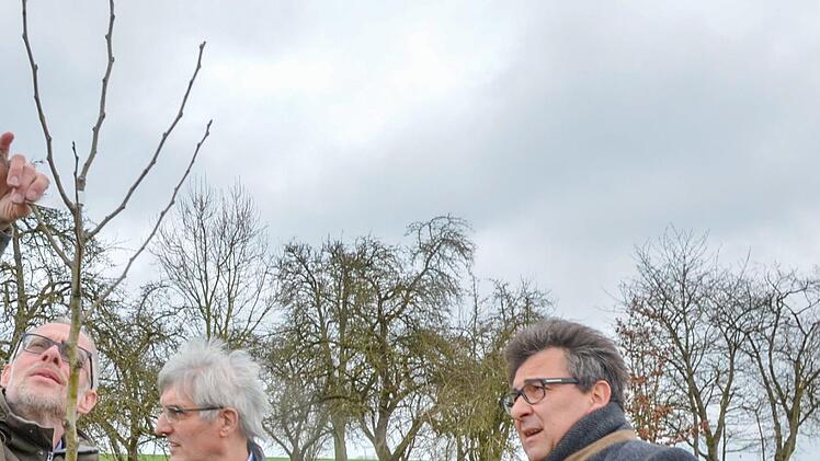 Kaiser Alexander oder Fürst Blücher? Frank Reißenweber, Hans Rebelein und Rolf Rosenbauer begutachten neu gepflanzte Bäume uralter Sorten.Rainer Lutz