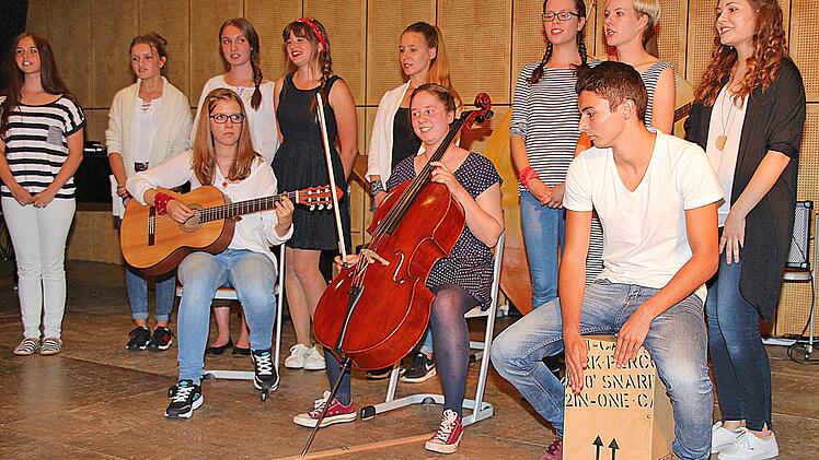 Die Schüler des Philipp-Schönborn-Gymnasiums Münnerstadt begeisterten bei ihrem Sommerkonzert mit Musik und Gesang. Foto: Dieter Britz