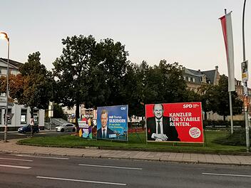 Bamberg: Bundestagswahlprognosen sehen klaren Wahlkreissieger