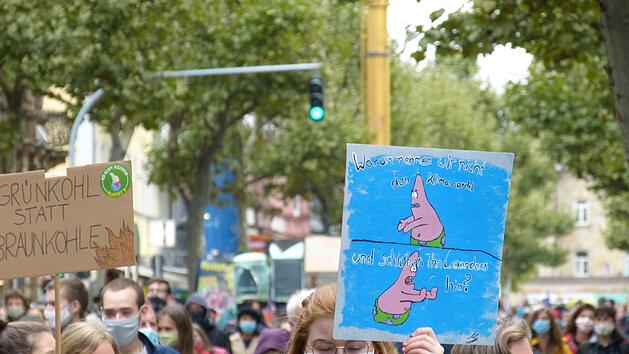 Demo f&uuml;r mehr Klimaschutz in Bamberg - Hunderte Menschen waren  bei den Protesten am Freitag. Foto: Julian Megerle