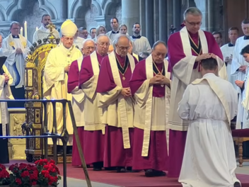26-J&auml;hriger im Bamberger Dom zum Priester geweiht