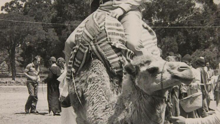 1977: Franz Böhm reitet in Marokko auf einem Kamel.