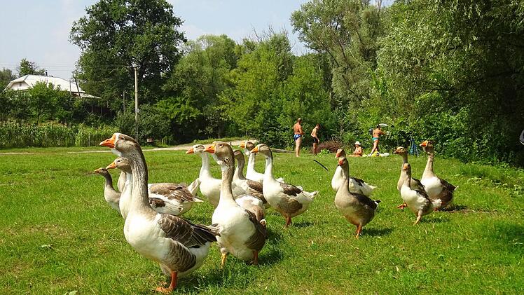 Eindrücke von Pöhlmanns Reisen, Foto: Privat