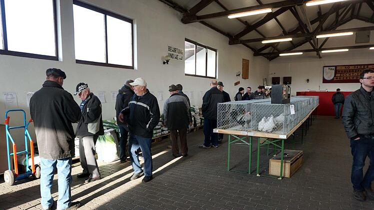 Foto: Richard Sänger