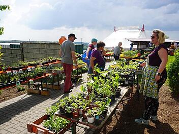 Die Pflanzenbörse war ein Publikumsmagnet beim Tag der Nachhaltigkeit am  Volkersberg. Marion Eckert